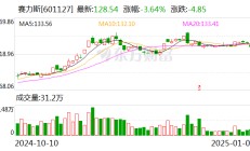 赛力斯张兴海：三年内新能源汽车实现百万量级目标