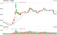 杨德龙：政策利好有望不断加码 沪深两市放量大涨