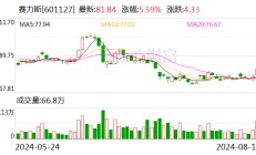 今日20只个股获主力资金净流入超1亿元 赛力斯净流入7.17亿元