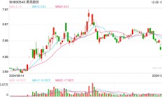 三连跌后，莫高股份发公告：立案仅针对董事长个人