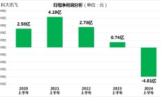 AI巨头科大讯飞上半年业绩暴雷！市值缩水近300亿！