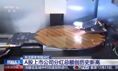 A股上市公司分红总额创历史新高 投资者将有何收获？
