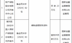 国寿财险济南市中心支公司因编制虚假财务资料被罚23万元