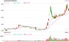 姜栋林当选西南证券董事长 接替因退休离任的吴坚