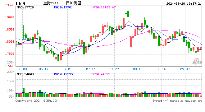 生猪供需双增的四季度——供应举足轻重，价格或下滑