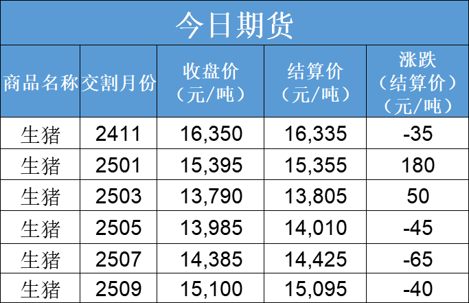 每日猪讯11.19